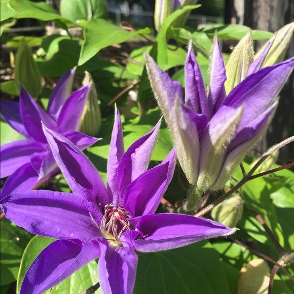 Meet your Posher, Halina - Picture 14 of 16